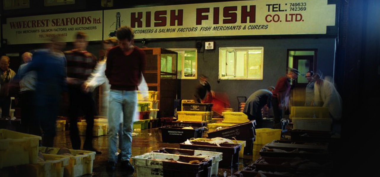 Kish Fish Quality Seafood fish market image
