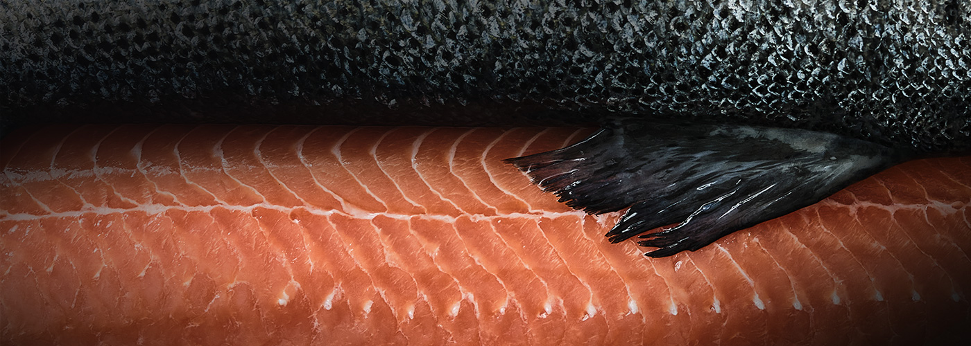 Kish Fish Quality Seafood Fresh Fish
