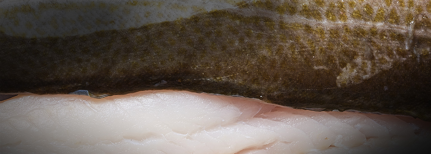 Kish Fish Quality Seafood Fresh Fish