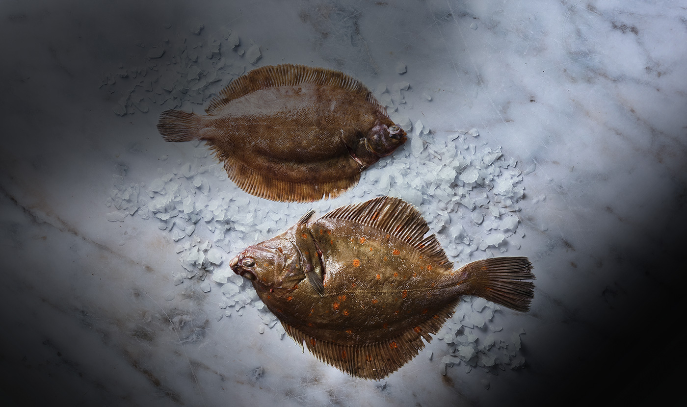 Kish Fish Plaice from our shops in Dublin and Avoca