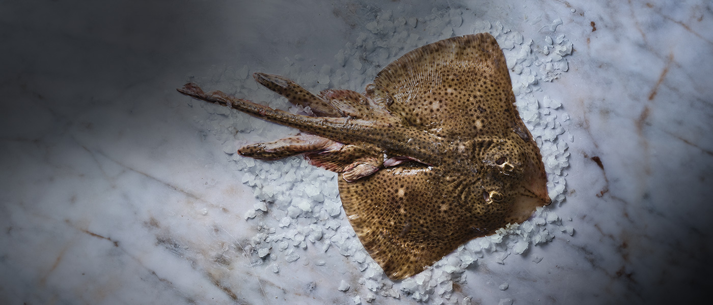 Kish Fish Ray