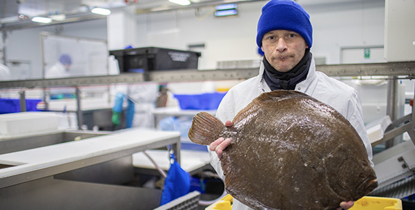 Kish Fish employee holding fish